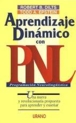 Aprendizaje Dinmico con PNL